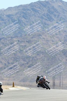 media/Apr-27-2025-BRL Bagger Racing League (Sun) [[7a5f00f0a5]]/5-Bagger GP-Pro Stock-Super Street Race/